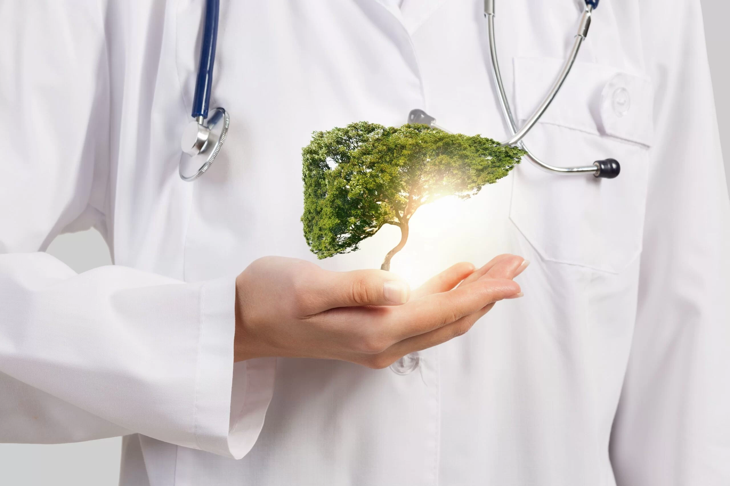 Integratore per il fegato: medico mostra l'importanza di un fegato sano